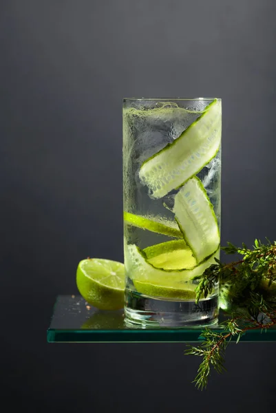 Gin Och Tonic Med Lime Gurka Och Enbär Grenar Dryck — Stockfoto