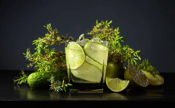 Cocktail Gin Tonique Aux Branches Glace Lime Concombre Genièvre Sur — Photo