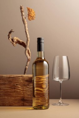 Bir şişe beyaz şarap, eski bir ahşap kompozisyonu, kuru pürüzler ve kurumuş asma yaprakları. Ürün markalaşması, kimlik ve ambalaj için tarafsız bej arka plan. Boşluğu kopyala, ön görünüm.