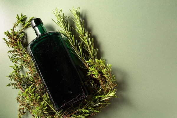 Винтажная Бутылка Можжевельником Розмарином Принято Образ Темы Травяной Медицины — стоковое фото