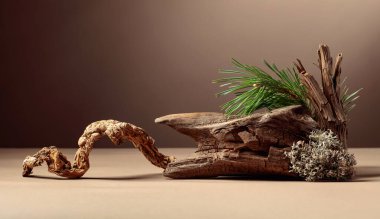 Leğen, çam dalları ve kuru pürüzler içeren soyut kuzey doğası sahnesi. Kozmetik için bej arka plan, güzellik ürünü markalaşma, kimlik ve ambalaj. Boşluğu kopyala.