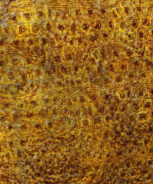 Süslü paslı metal yüzey.