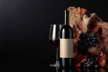 Eski etiketli bir şişe kırmızı şarap. Arka planda kurumuş asma yapraklı eski asmalar ve üzümler var. Boşluğu kopyala.