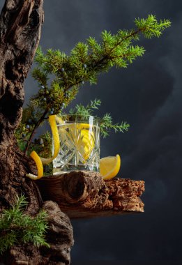 Eski bir tahtanın üzerinde kristal bardakta limonlu kokteyl cin toniği. Arka planda eski pürüzler, böğürtlenli ardıç dalları ve bulutlu bir gökyüzü.