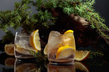 Siyah yansıtıcı arka planda buzlu ve limonlu kokteyl cin toniği. Eski engeller ve ardıç dallarıyla buzlu içecek..