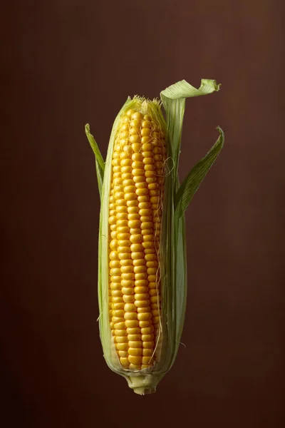 Fresh Corn Cob Brown Background — Zdjęcie stockowe