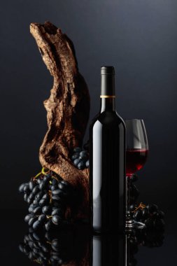 Şişe ve bir bardak kırmızı şarap. Arka planda eski yıpranmış çıkıntı ve mavi üzümler. Boşluğu kopyala.