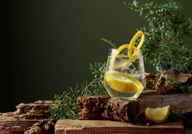 Buzlu, limonlu ve biberiyeli buzlu cin tonik. Eski bir kalasın üzerinde ardıç dalları olan ferahlatıcı bir içecek. Kopyalama alanı olan yeşil arkaplan.