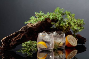 Siyah yansıtıcı arka planda buzlu ve limonlu kokteyl cin toniği. Eski engeller ve ardıç dallarıyla buzlu içecek..