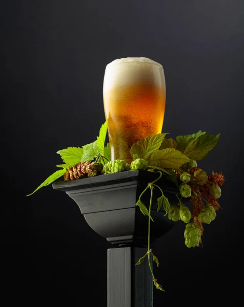 Glass Beer Green Hops Wheat Ears Black Podium Copy Space — Stock Photo, Image
