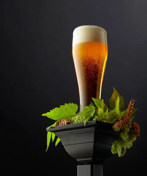 黒い表彰台に緑色のホップと小麦の耳が付いているビールのグラス コピースペース — ストック写真