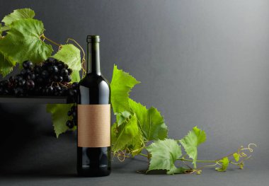 Mavi üzümlü bir şişe kırmızı şarap ve üzüm dalları. Boşluğu kopyala.