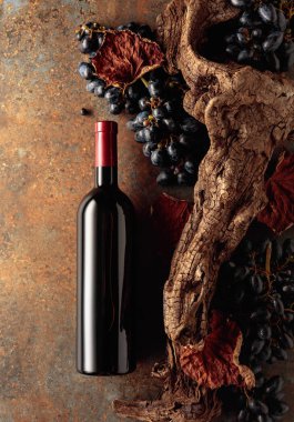 Paslı arka planda mavi üzümlü bir şişe kırmızı şarap ve kurumuş asma yaprakları. Vinery kavramı. Üst Manzara. Boşluğu kopyala.