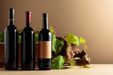 Eski ahşap ve asma dalları olan kırmızı ve beyaz şarap şişeleri. Boşluğu kopyala.