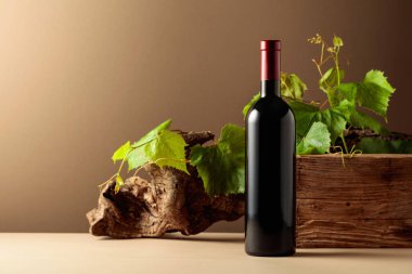 Eski ağaç ve asma dallarıyla bir şişe kırmızı şarap. Boşluğu kopyala.