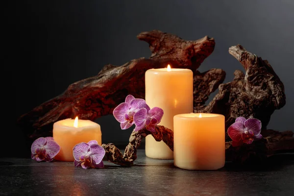 Orchid flowers, burning candles, and old wooden snags on a black background. Spa concept with copy space.