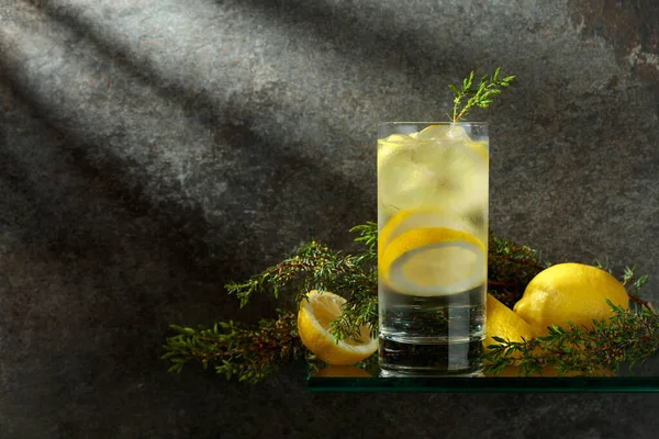 ジンとトニックアイス レモン ジュニパーの枝 ミスグラスで氷を飲む スペースのコピー — ストック写真