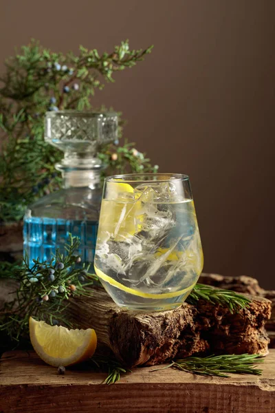 Cocktail Gin Tonic Avec Glace Citron Romarin Dans Verre Congelé — Photo