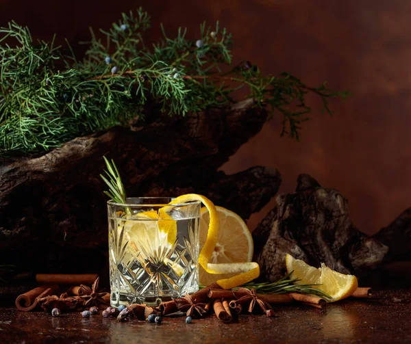 Limon Tarçın Anason Ardıç Meyveli Kokteyl Cin Toniği Arka Planda — Stok fotoğraf