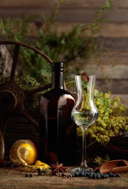 Antika bir şişe siyah camdaki bitkisel tentürler. Anason, kişniş ve ardıç meyveleri ahşap masaya saçılmış..