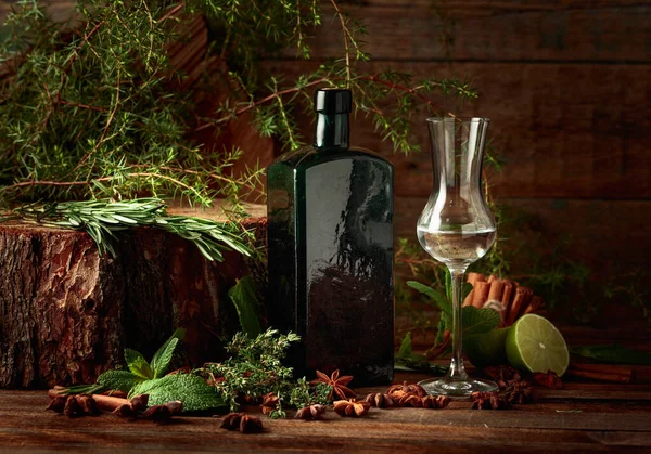 Örttinktur Antik Flaska Mörkt Glas Anis Koriander Och Enbär Utspridda — Stockfoto