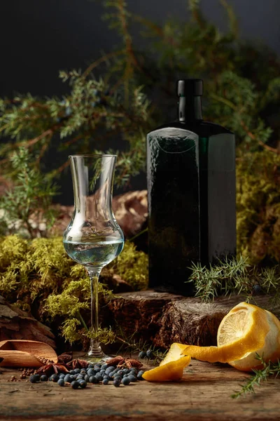 Örttinktur Antik Flaska Mörkt Glas Anis Koriander Och Enbär Utspridda — Stockfoto