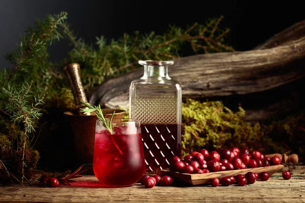 Cranberry Cocktail Ice Rosemary Fresh Berries Background Moss Juniper Branch — Stock Photo, Image