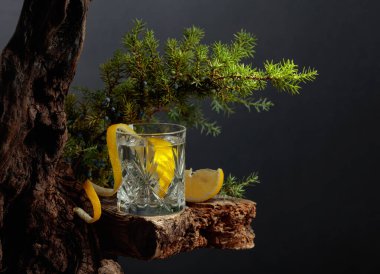 Eski bir tahtanın üzerinde kristal bardakta limonlu kokteyl cin toniği. Arka planda böğürtlen ve ardıç dalları.