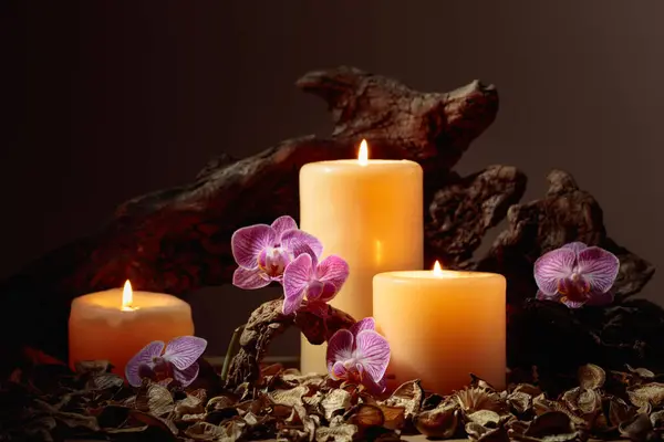 Orchid flowers and burning candles on a background of old wooden snags. Spa concept with copy space.