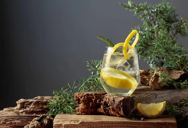 Cocktail Gin Tonic Met Ijs Citroen Rozemarijn Een Bevroren Glas — Stockfoto