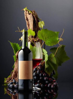 Mavi üzümlü ve üzüm dallı bir şişe kırmızı şarap. Eski boş bir şişede. Boşluğu kopyala.