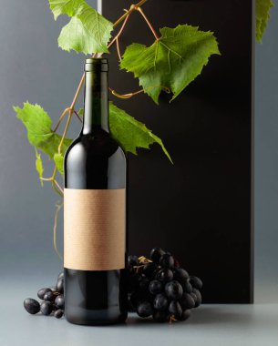 Mavi üzümlü bir şişe kırmızı şarap ve üzüm dalları. Eski boş bir şişede. Boşluğu kopyala.