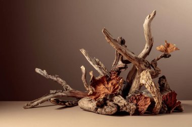 Ürün markalaşması, kimliği ve ambalajı için bej bir arka planda asgari bileşim ve kurumuş yapraklar. Boşluğu kopyala.