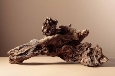 Bej arka planda eski, kuru ahşap bir pürüz. Ürününüzü ön plana koyun. Boşluğu kopyala.