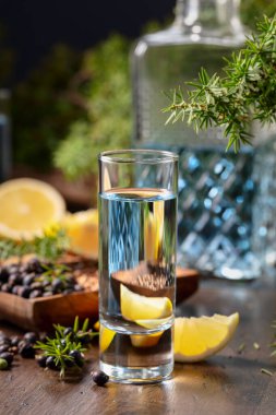 Eski ahşap bir masada mavi cin ve ardıç dalları. Malzemeli cin - ardıç meyvesi, kişniş tohumu ve limon dilimleri..