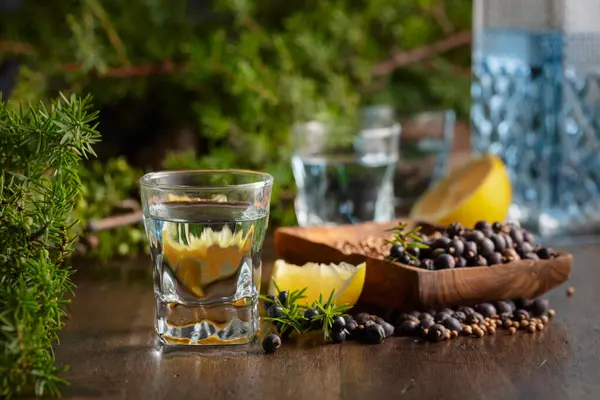 Blue Gin Juniper Branches Old Wooden Table Gin Ingredients Juniper — Stock Photo, Image