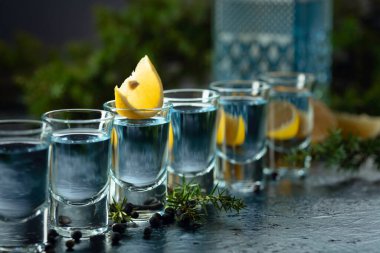 Eski koyu mavi bir masada mavi cin ve ardıç dalları. Ardıç meyveli cin ve limon dilimleri. Seçici odak.