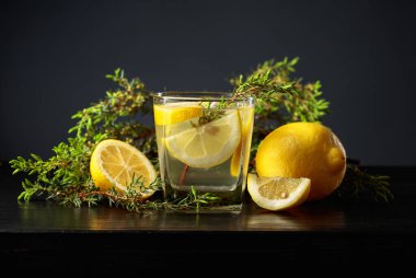 Siyah ahşap bir masada buz, limon ve ardıç dallı kokteyl cin toniği..