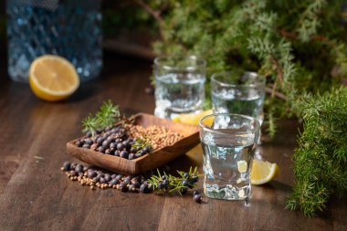 Eski ahşap bir masada mavi cin ve ardıç dalları. Malzemeli cin - ardıç meyvesi, kişniş tohumu ve limon dilimleri..