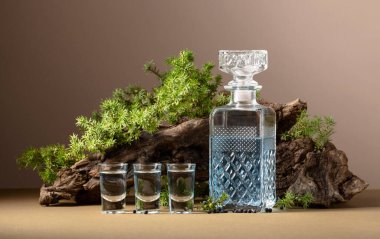 Mavili cin ve ardışık böğürtlenli ardıç dalları. Kopyalama alanı olan bej arkaplan.