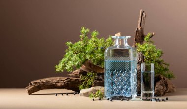 Arka planda mavi cin ve böğürtlenli ardıç dalları.