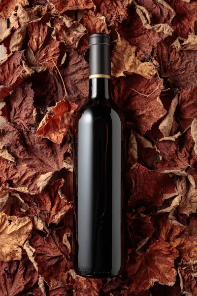 Bottle Red Wine Dried Vine Leaves Top View — Zdjęcie stockowe
