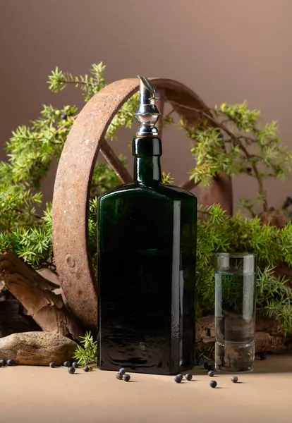 Gin Vinobraní Láhev Rezavým Železným Kolem Staré Snags Jalovcové Větve — Stock fotografie