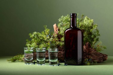 Arka planda eski bir kapan ve böğürtlenli ardıç dalları olan eski bir şişe cin. Kopyalama alanı olan yeşil arkaplan.