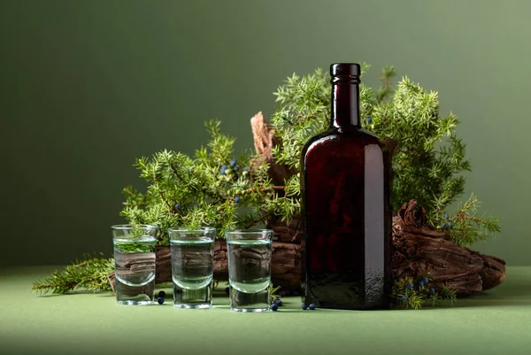 葡萄酒瓶中的姜汁 背景是旧的夹钳和杜松子酒枝条与浆果 带有复制空间的绿色背景 — 图库照片