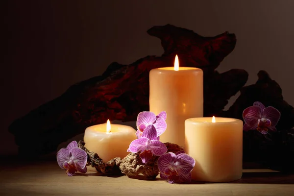 Orchid flowers and burning candles on a background of old wooden snags. Spa concept with copy space.