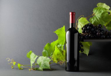 Mavi üzümlü bir şişe kırmızı şarap ve üzüm dalları. Boşluğu kopyala.