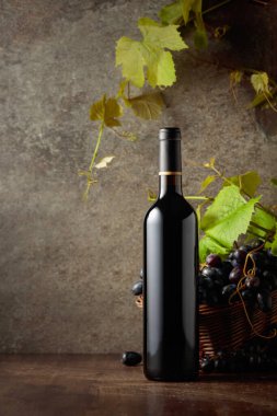 Bir şişe kırmızı şarap, mavi üzümler ve eski ahşap bir masada asma dalları..