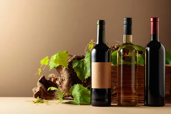 Bottles Red Wine Old Wood Vine Branches Copy Space — Stock Photo, Image