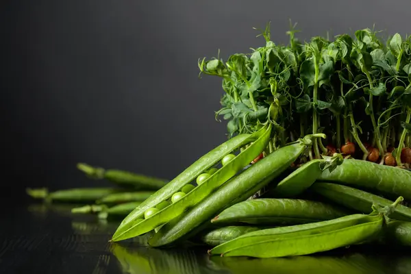 新鮮なエンドウ豆のポッドとマイクログリーンの芽 健康食品の概念 スペースのコピー — ストック写真